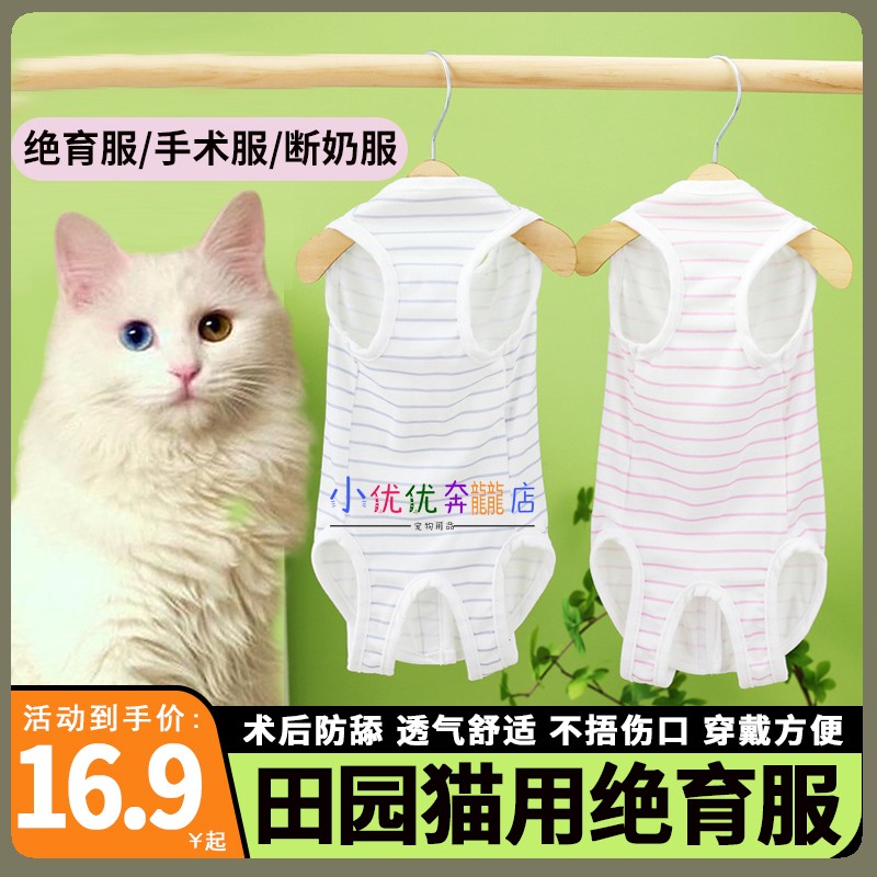 田园猫专用猫咪绝育衣母猫手术服绝育衣服猫防掉毛夏天穿的断奶服