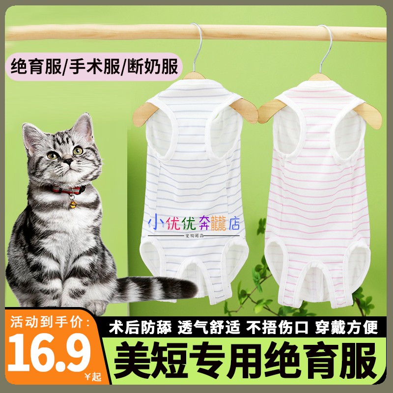 美短专用猫咪绝育衣手术服母猫断奶服戒奶衣夏季衣服防掉毛包肚衣