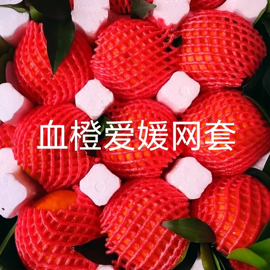 爱媛橙子加厚网套水果网套苹果梨泡沫发泡包装猕猴桃防震网兜网袋