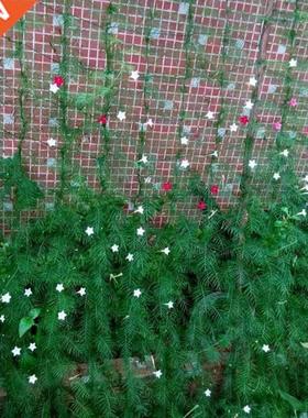 Nylon Trellis Net Garden Fence Mesh Plant Climbing Frame Gar