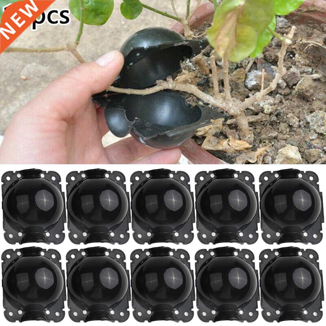 10pcs Plant Rooting Equipment High Pressure Propagation Ball