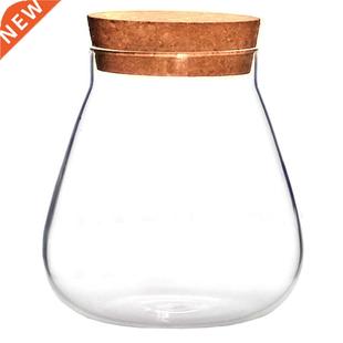 DIY Succulent Plant Pot Glass Bottle Display Storage Pot Mi