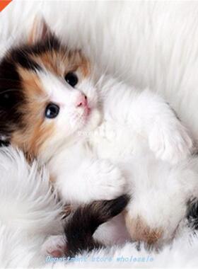 Creative Gift Cross Stitch Diamond Painting 5D DIY Cute Anim