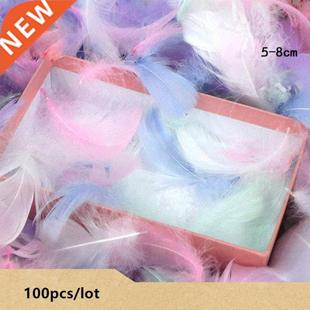 Feathers Gift Packing 100PCS Box Colorful Material Fille Lot