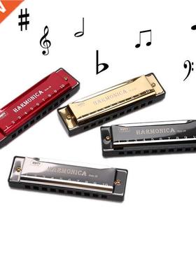 10 Hole Harmonica Mouth Organ Puzzle Musical Instrument Begi