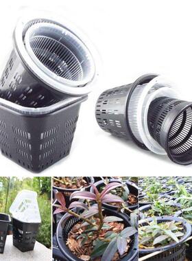 Orchid Clear Flower Pot Plastic Slotted Breathable Orchid Po