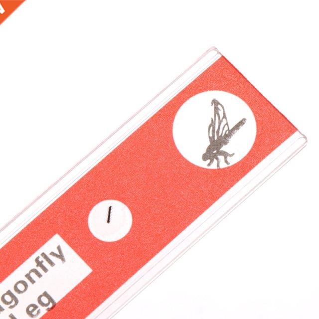 51BD 48 Pcs Prepared Microscope Slides Specimen Animals Inse