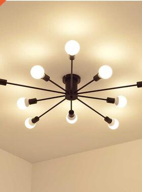 Retro Iron Ceiling Lights Black/White 6/8/10 Sockets Lamp Vi