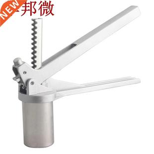 Moulds Noodle Pasta With Machine Juicer Fruits Home