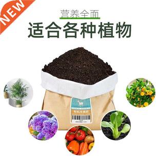 anure egg ferented sheep chick organic Sheep