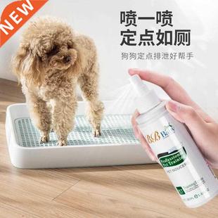 point defecation inducer Dog urine fixed pet position toilet