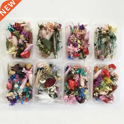 1 Box Natural Dried Flowers for Resin Jewellery Dry Plants P