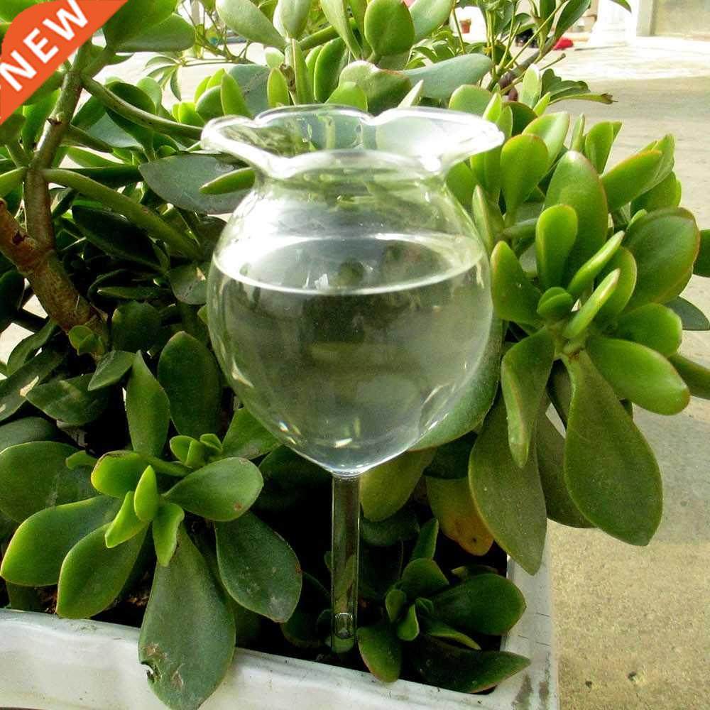 1 Shapes House Plants Flowers Water Feeder Automatic Self W