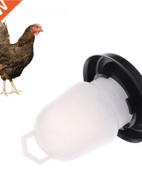 1PC Kettle Shape Plastic Chicken Water Drinking Bird Quail P