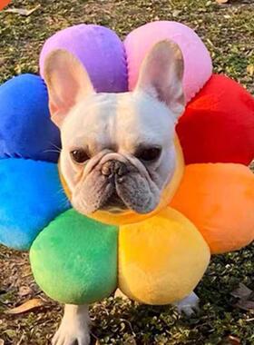 Sun Flower Pet Adjustable Recovery Collar Elizabethan Circle