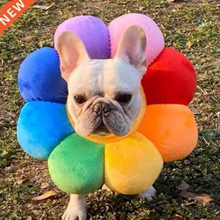 Sun Flower Pet Adjustable Recovery Collar Elizabethan Circle