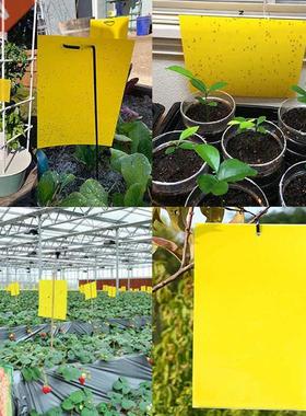 Home Yellow Greenhouse Sticky Traps Bugs Sticky Board Multip