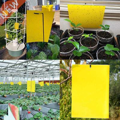 Home Yellow Greenhouse Sticky Traps Bugs Sticky Board Multip