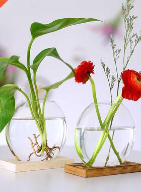 Hydroponic Plants Vase Tabletop Glass Flower Bud Vase in Woo