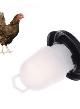 1PC Kettle Shape Plastic Chicken Water Drinking Bird Quail P