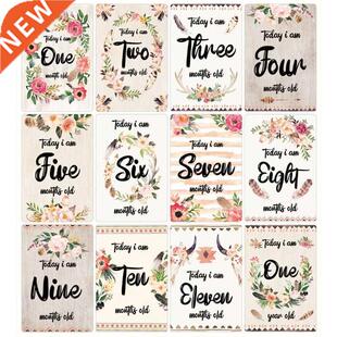 12 Sheet Baby Milestone Cards Newborn Monthly Memorial Grow