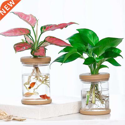 2PCS Hydroponic Plant Vases Flower Pot Planter Transparent V