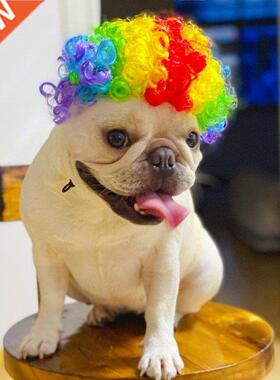 Funny Pet Cat Dog Wig Cat Costumes DIY Cospaly Props Wigs De