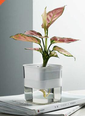 Small Planter Pot With Water Tank Self Watering Plastic Squa