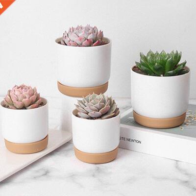 Plastic Imitation Ceramic Succulent Plant Pots Flower Pot-La
