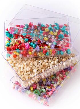 100-600 Pieces Boxed Decorative Dried Flower Mini Star Bouqu