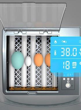 Household Small Egg ncubator Fully Automatc Hatch Temperat