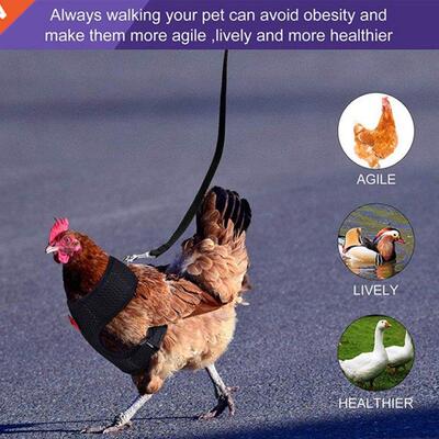 Fashion Adjustable Chicken Harness Leash Comfortable Breatha