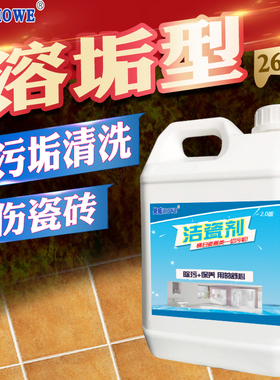 瓷砖清洁剂强力去污家用草酸清洗厕所卫生间浴室地板砖水泥除垢王