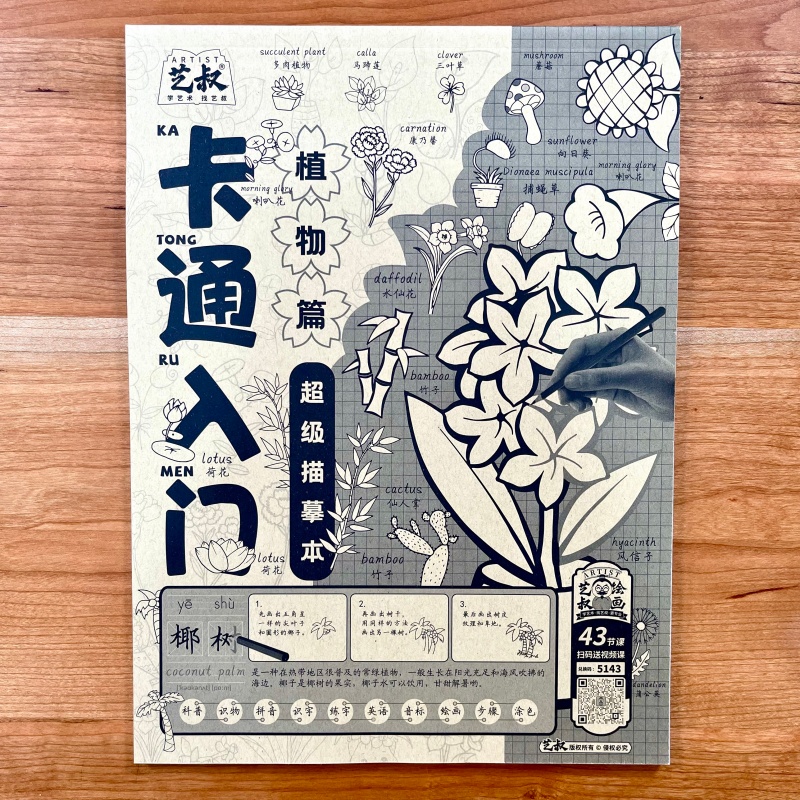 入门描摹本古风人物花草植物绘画