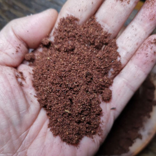 缅甸奇楠降真香沉香系列产品 边角料熏香粉碎料原木 线香纯露精油