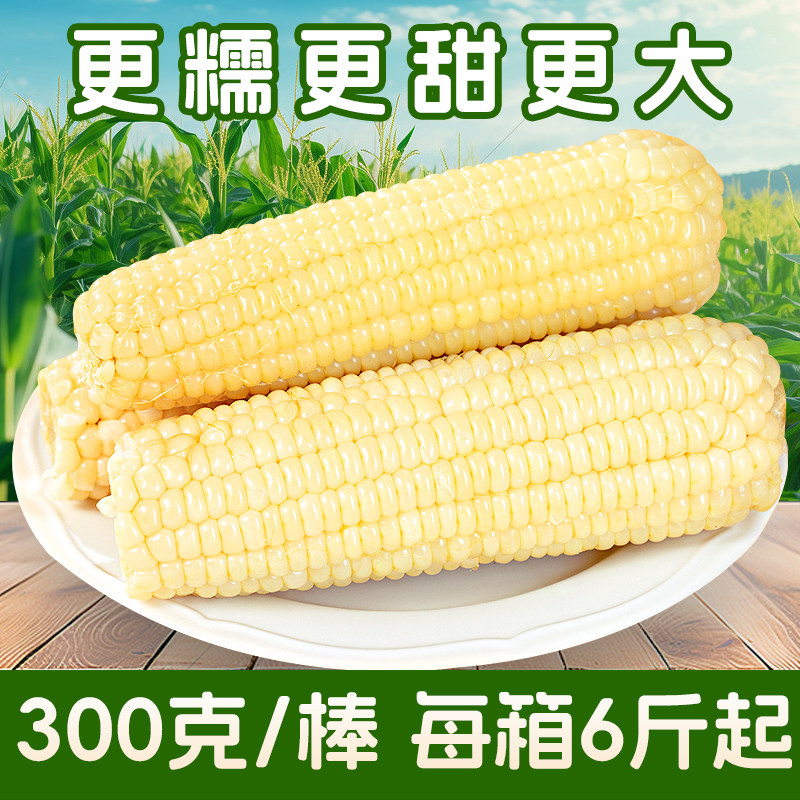 穗康糖心糯玉米300g大棒