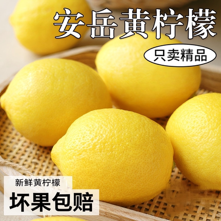 四川安岳黄柠檬整箱产地批发当季奶茶店专用薄皮新鲜大果5斤礼盒