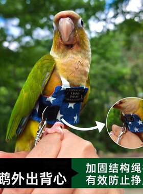 鹦鹉外出遛鸟神器防丢牵引飞行服