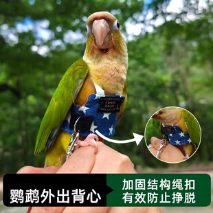 鹦鹉衣服超轻遛鸟神器外出背带玄风虎皮牡丹放飞绳牵引防丢飞行服