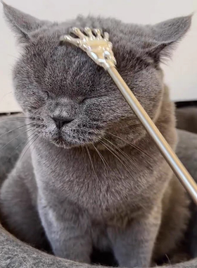 宠物猫咪挠痒神器狗狗抓痒挠猫耙子逗猫棒伸缩痒痒挠互动解闷玩具