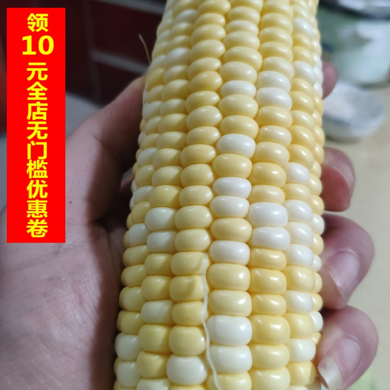 网友分享在meiguo.com的图片