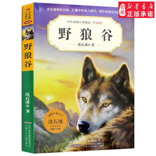 野狼谷 沈石溪中外动物小说精品升级版 9-12岁儿童文学励志动物成长故事 三四五六年级小学生课外阅读书