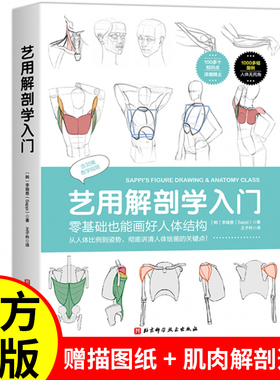 艺用解剖学入门 李瑞恩（韩）著 王子衿主译 零基础也能画好人体结构 专为绘画零基础学习者打造的人体绘画解剖学指南