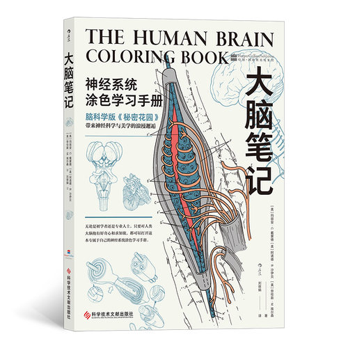 大脑笔记 神经系统涂色学习  重现解剖学教授经典课堂 神经系统医学脑科医学涂色练习书籍 脑科学版秘密花园书籍 涂色练习