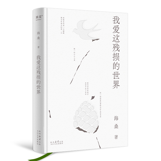 我爱这残损的世界（海桑全新诗集，描述生活细节里本真的美，多么不堪的生活，你都能在其中找到一点光亮。）