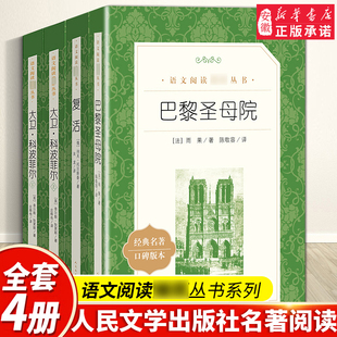 大卫·科波菲 (上下)+巴黎圣母院+复活 高中版高中生正版全集4册  文学出版社教材版 世界名著七八九年级课外阅读书籍新华正版