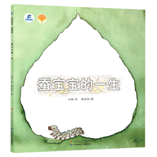 蚕宝宝 中国故事动物篇 一生