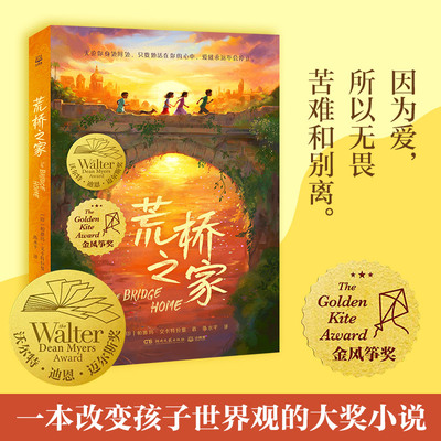 荒桥之家少儿版追风筝的