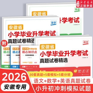 安徽省专版小升初真题卷分班卷安徽16地市小学毕业升学考试冲刺100分名校真题精选汇编超详解语文数学英语模拟期末专项训练卷