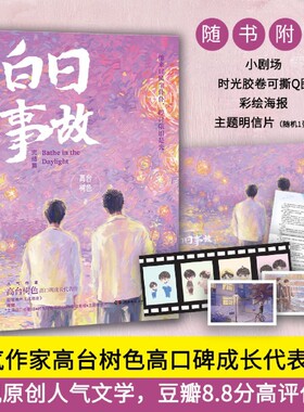 白日事故：完结篇（人气作家 高台树色 高口碑成长代表作！他来时风尘仆仆，停时依旧是光）湖南文艺出版社 文学作品 都市青春小说
